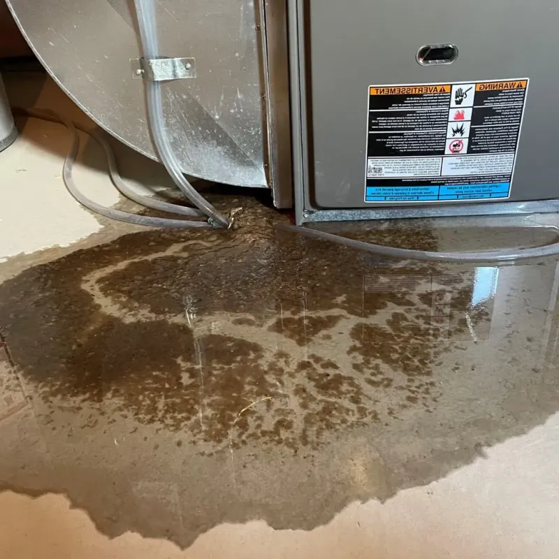 Pipe Burst and Leak Restoration in Upper Bear Creek, CO